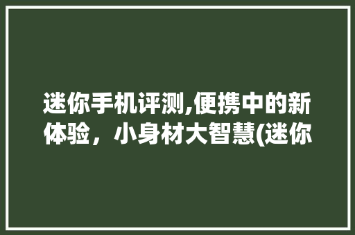 迷你手机评测,便携中的新体验，小身材大智慧(迷你 手机 )