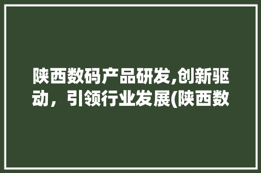 陕西数码产品研发,创新驱动，引领行业发展(陕西数码产品研发)