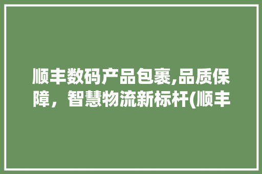 顺丰数码产品包裹,品质保障，智慧物流新标杆(顺丰数码产品包裹)
