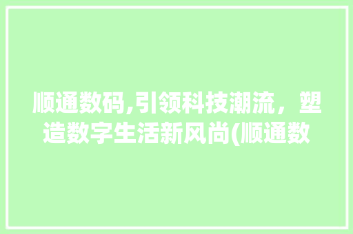 顺通数码,引领科技潮流，塑造数字生活新风尚(顺通数码产品销售)