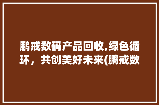 鹏戒数码产品回收,绿色循环，共创美好未来(鹏戒数码产品回收)