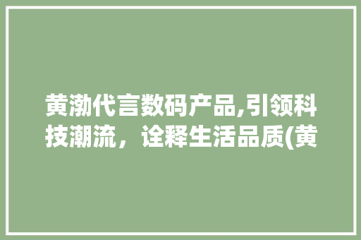 黄渤代言数码产品,引领科技潮流，诠释生活品质(黄渤代言数码产品)