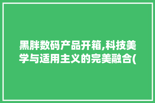 黑胖数码产品开箱,科技美学与适用主义的完美融合(黑胖数码产品开箱)