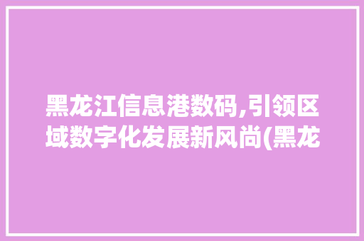 黑龙江信息港数码,引领区域数字化发展新风尚(黑龙江信息港数码)