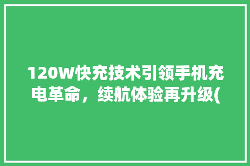 120W快充技术引领手机充电革命，续航体验再升级(手机120w)