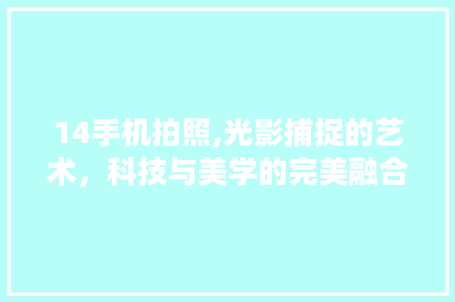 14手机拍照,光影捕捉的艺术，科技与美学的完美融合(14手机拍照)