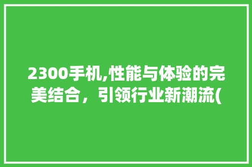 2300手机,性能与体验的完美结合，引领行业新潮流(2300手机) 手机电脑