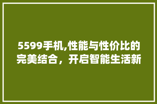 5599手机,性能与性价比的完美结合，开启智能生活新篇章(5599手机)