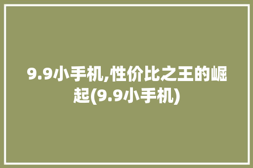 9.9小手机,性价比之王的崛起(9.9小手机)