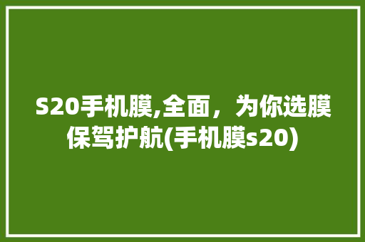 S20手机膜,全面，为你选膜保驾护航(手机膜s20)