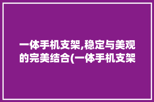 一体手机支架,稳定与美观的完美结合(一体手机支架)