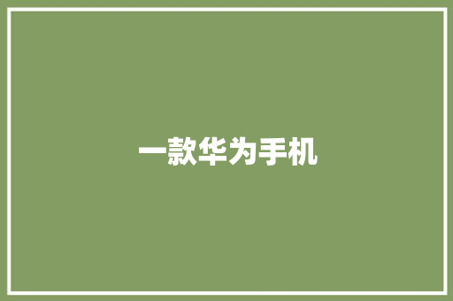 一款华为手机