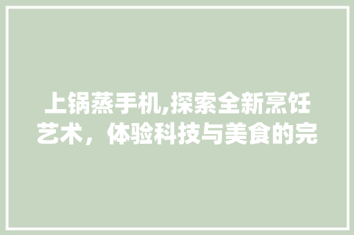 上锅蒸手机,探索全新烹饪艺术，体验科技与美食的完美融合(上锅蒸的手机)
