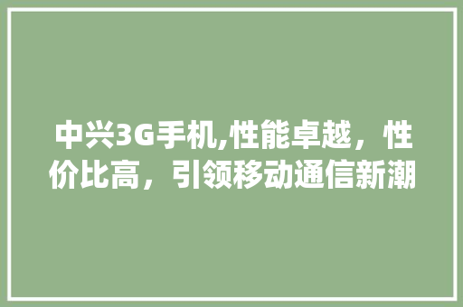 中兴3G手机,性能卓越，性价比高，引领移动通信新潮流(3g中兴手机) 手机电脑