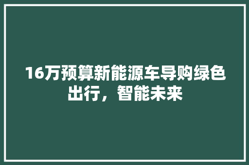 16万预算新能源车导购绿色出行，智能未来 汽车常识