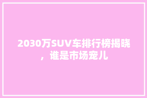 2030万SUV车排行榜揭晓，谁是市场宠儿 汽车常识