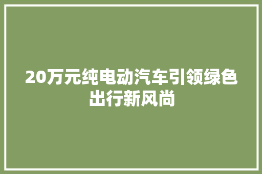 20万元纯电动汽车引领绿色出行新风尚 汽车常识