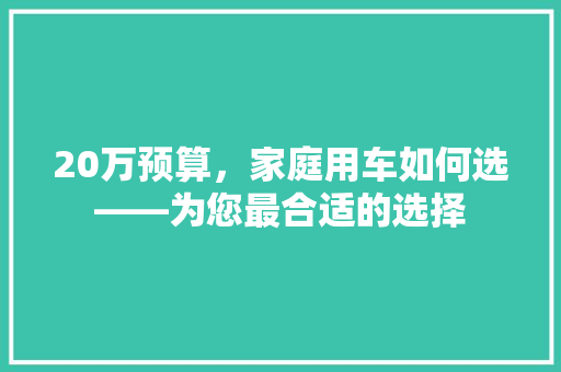 20万预算，家庭用车如何选——为您最合适的选择