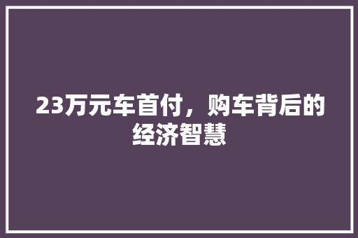 23万元车首付，购车背后的经济智慧