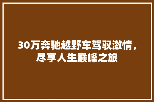30万奔驰越野车驾驭激情，尽享人生巅峰之旅