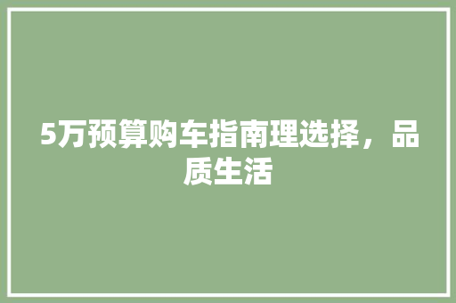 5万预算购车指南理选择，品质生活