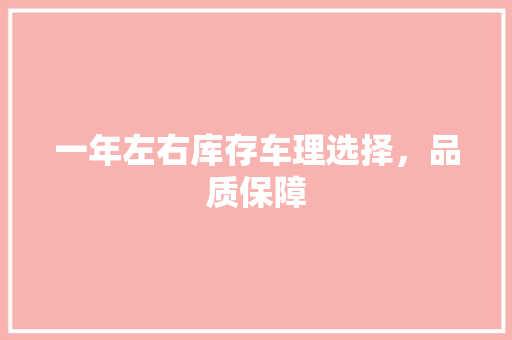 一年左右库存车理选择，品质保障