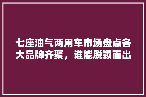 七座油气两用车市场盘点各大品牌齐聚，谁能脱颖而出