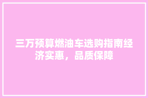 三万预算燃油车选购指南经济实惠，品质保障