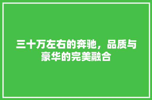 三十万左右的奔驰，品质与豪华的完美融合