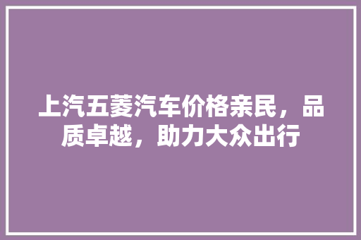 上汽五菱汽车价格亲民，品质卓越，助力大众出行