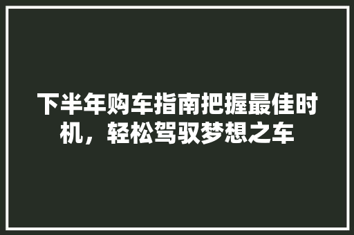 下半年购车指南把握最佳时机，轻松驾驭梦想之车