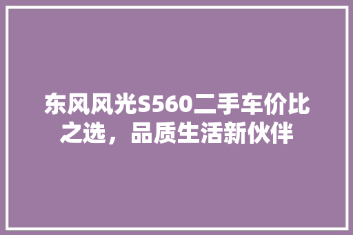 东风风光S560二手车价比之选，品质生活新伙伴