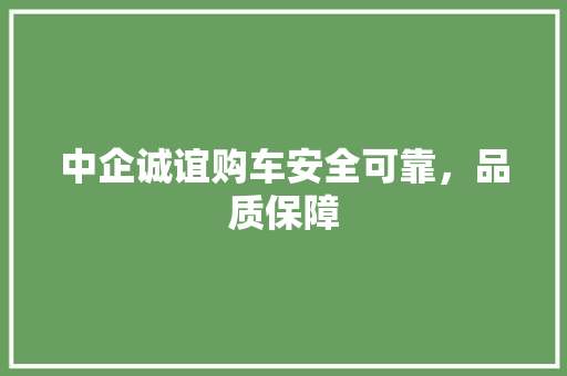 中企诚谊购车安全可靠，品质保障 汽车常识