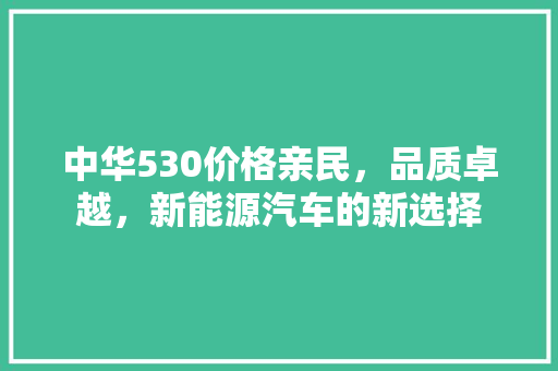 中华530价格亲民，品质卓越，新能源汽车的新选择 汽车常识
