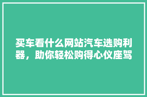 买车看什么网站汽车选购利器，助你轻松购得心仪座驾