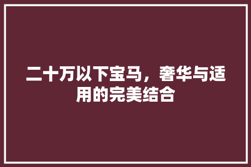 二十万以下宝马，奢华与适用的完美结合 汽车常识