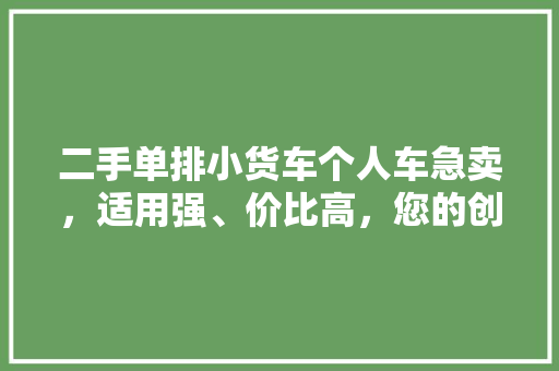 二手单排小货车个人车急卖，适用强、价比高，您的创业伙伴！