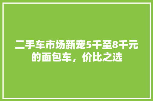 二手车市场新宠5千至8千元的面包车，价比之选