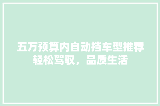 五万预算内自动挡车型推荐轻松驾驭，品质生活