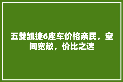 五菱凯捷6座车价格亲民，空间宽敞，价比之选