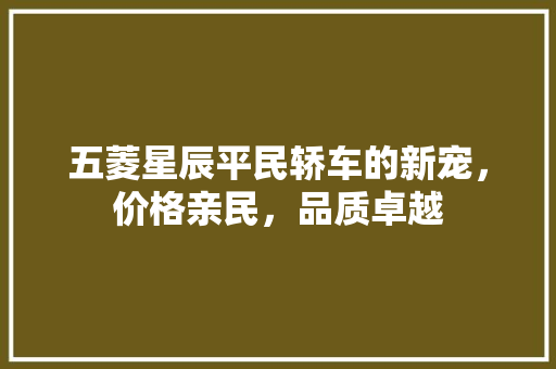 五菱星辰平民轿车的新宠，价格亲民，品质卓越