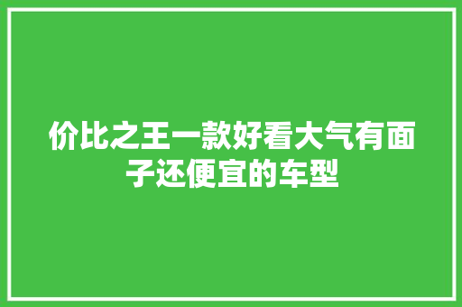 价比之王一款好看大气有面子还便宜的车型