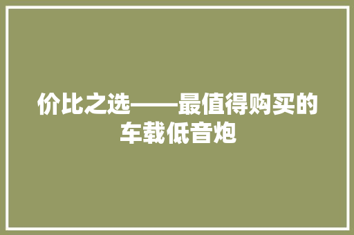 价比之选——最值得购买的车载低音炮