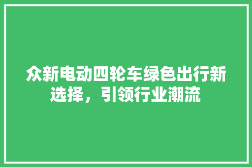 众新电动四轮车绿色出行新选择，引领行业潮流