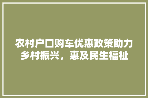 农村户口购车优惠政策助力乡村振兴，惠及民生福祉
