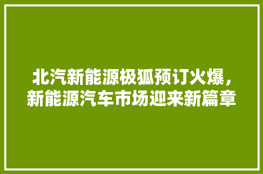北汽新能源极狐预订火爆，新能源汽车市场迎来新篇章