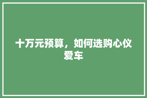 十万元预算，如何选购心仪爱车