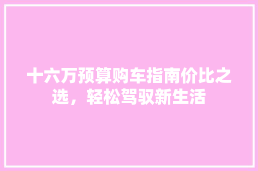 十六万预算购车指南价比之选，轻松驾驭新生活