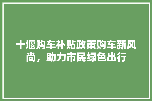 十堰购车补贴政策购车新风尚，助力市民绿色出行