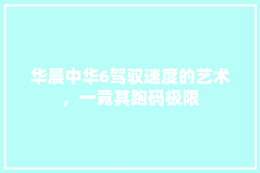 华晨中华6驾驭速度的艺术，一竟其跑码极限 汽车常识